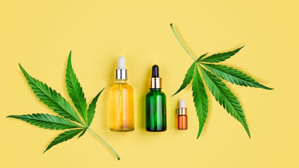 כמה עולה CBD ומהן השפעותיו המיידיות