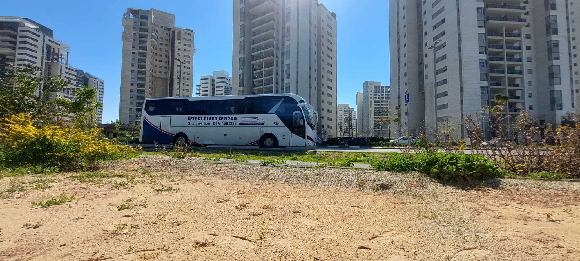 איך לבחור חברת הסעות? 5 דברים שחשוב לבדוק לפני ההזמנה