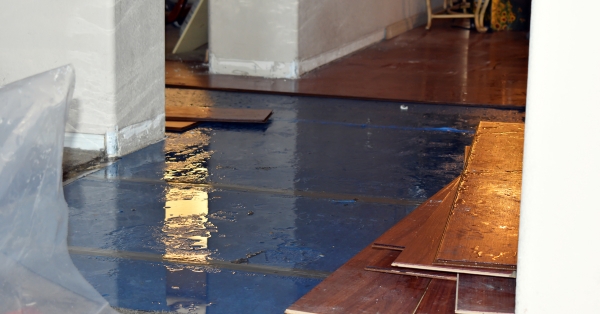 חשיבות השימוש במייבשי לחות (Dehumidifiers) למניעת ריחות לוואי